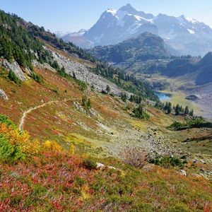 Meet your Posher, Kaitlin